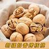 Xinjiang Thin-Skinned Raw Walnuts Specialty Aksu Hand-Peeled Roasted Milk Vanilla Herbal Flavor Paper-Skinned Walnuts Wholesale Zero