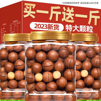 New Arrival Macadamia Nuts 500g Cream Nut Combination Wholesale Whole Box Bulk Weighing Dried Nuts Snacks Flagship Store