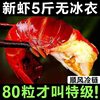 Lobster Tail Without Ice, Extra Large Shrimp Tail, Extra Large Without Ice, Fresh Live Crayfish Frozen