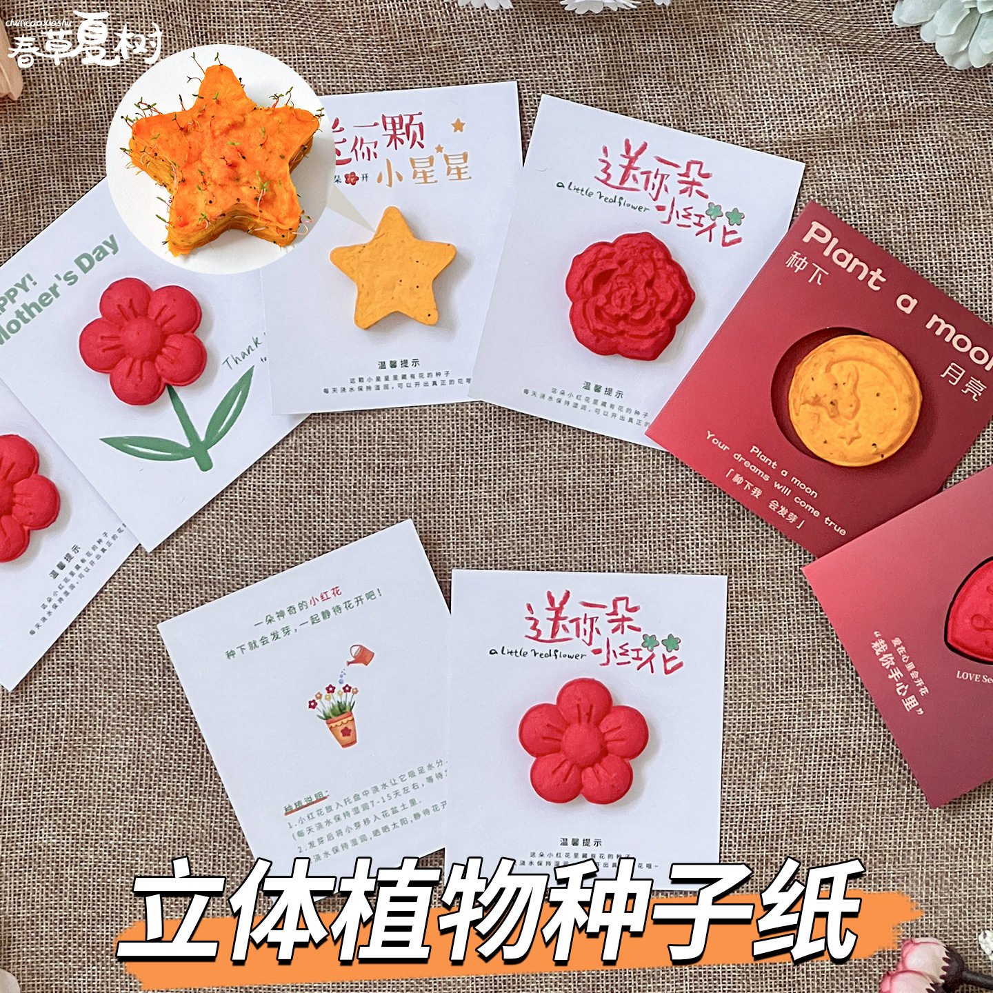 立体种子纸现货可定制种植种子发芽纸卡片节日商务活动伴手小礼物| MoveOn | Connecting Cross-Border Trade