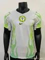 Player, 2627 nigeria away game