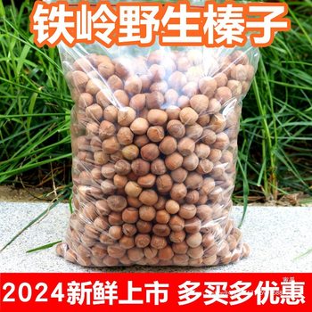 Fresh Wild Small Hazelnuts from Tieling, Northeast China, 2024 Specialty Dried Nuts, Raw Hazelnuts in Bulk, Raw Hazelnuts Roasted