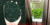 PSP5 explosive white fine-core hair tip новая серия чая 2026 года от Yuxinjian extra-fine-core -перед дождем, густой каштановый аромат, завершающий стиль с тонким белым оттенком.