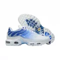 Tn generation blue white blue hook