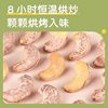 Cashew nuts with leather wholesale large particles bulk original flavor salt baked cashew nuts Vietnam specialty casual snack factory delivery
