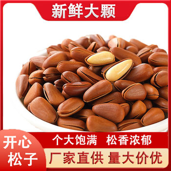 Northeast Pine Nuts New Extra Large Granular Nuts Non-Grade Dried Fruit Open Korean Pine Wholesale Snacks New Year Pine Seeds