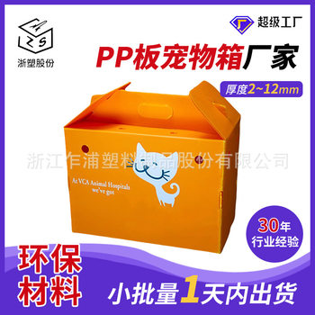 Zhejiang Food-Grade Hollow Board Plastic Turnover Box Pp Pet Box Vegetable and Fruit Box Large Portable Storage Box Manufacturer
