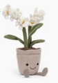 Daxun flower