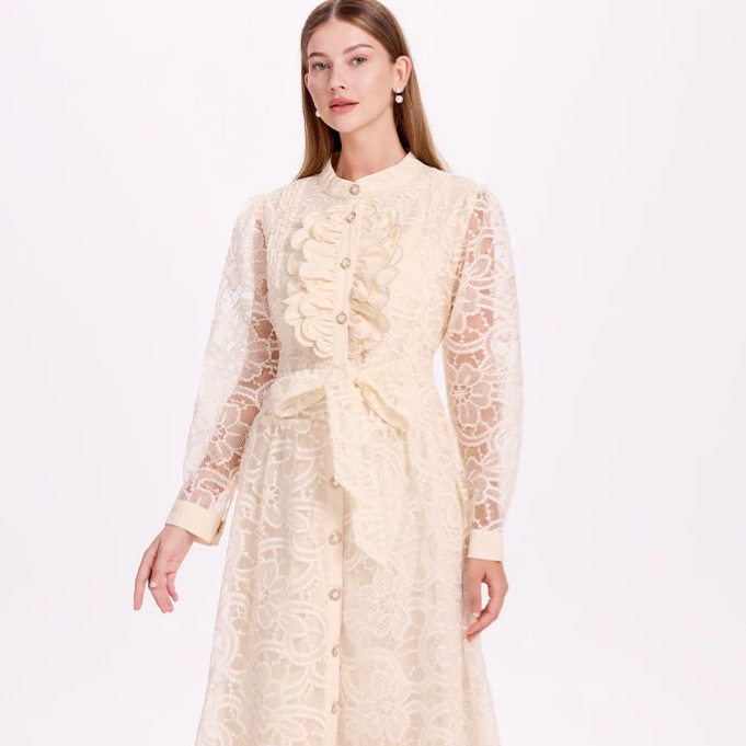 Elegant French Style Long Dress for Women Autumn Waist Tie Embroidered Sheer Mesh Button Closure Perfect for