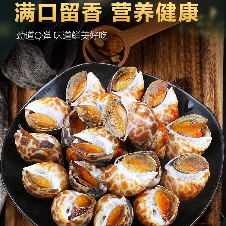 Fresh Live Conch, Extra-Large Seafood, Fresh Frozen Dongfeng Conch, Extra-Large Flower Snail Shellfish