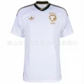 Saudi arabia customization