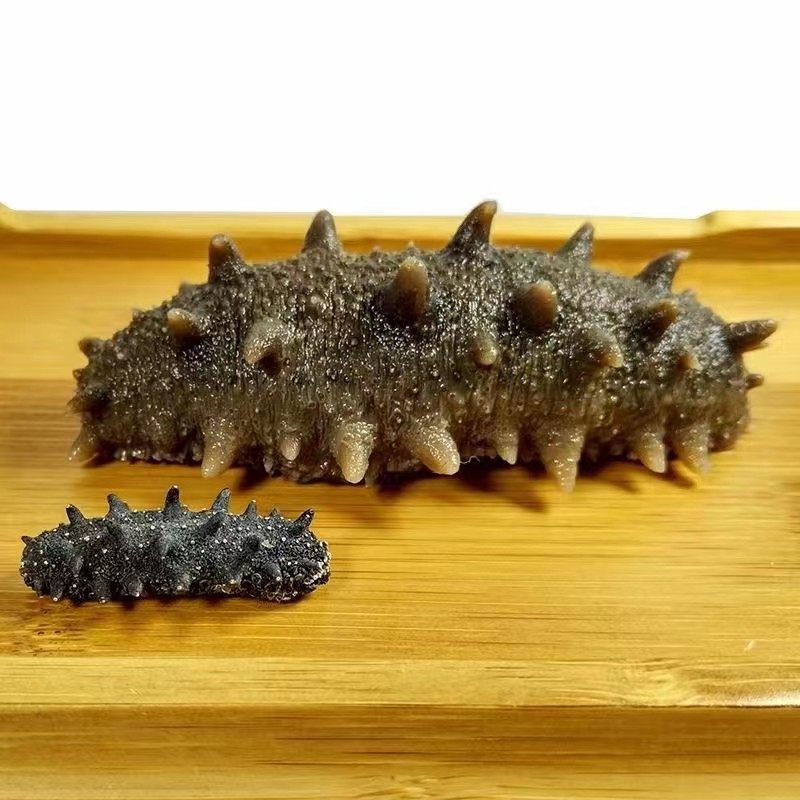 Immediately Ready-To-Eat Sea Cucumber and Sea Cucumber 500g Dalian Manufacturer Liaoginseng Fresh and Permeated Dry Goods Dalian Sea Cucumber Single Taste Pack