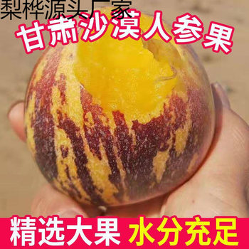 Fresh Seasonal Whole Box Wholesale of Huang Rou Da Guo Gansu Minqin Ginseng Fruit with Free Shipping