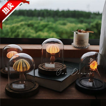 Ocean Island Retro Shell Sea Urchin Conch Lamp Night Light Ornament Handmade Material Pack Mid-Autumn Festival Manufacturer Wholesale
