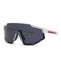 C5 white frame gray