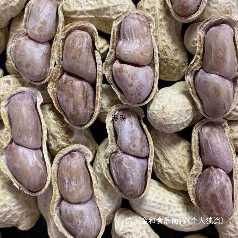 Fujian Longyan Peanut Shelled Garlic Salty Dried Five-spiced Original Salt Water White Boil Peanut Cooked Fried Snacks