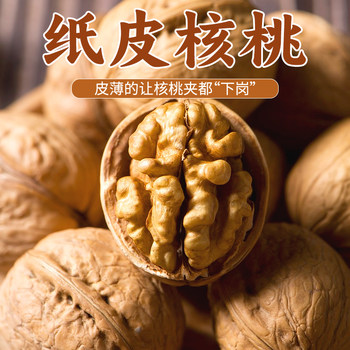 [Dropshipping] New Walnuts in Stock Xinjiang Paper-Skinned Walnuts Roasted Walnuts Large Kernels Thin Skin 185 Paper-Skinned Walnuts
