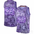 Lakers No. 23 Selected Edition