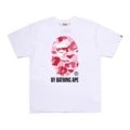 D170 white pink