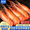 Fresh Cooked Frozen Langostino Shrimp, Quick-Frozen Freshwater Prawns, Cooked Frozen Large-Headed Prawns, Frozen Langostino Prawns, Whole Box Commercial Wholesale