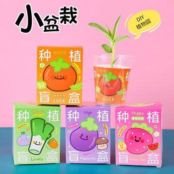 Green Plant Children's Potted Planting Blind Box Kindergarten Observation Primary School Students' Seed Creative Science Experimental Toys Wholesale