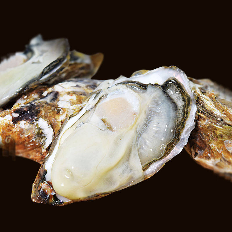 2.5kg Free Shipping Oysters Fresh Oysters Ready-To-Eat Seafood Barbecue Fresh Seafood Shelled Aquatic Products Sea Oysters