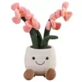 Pink orchid
