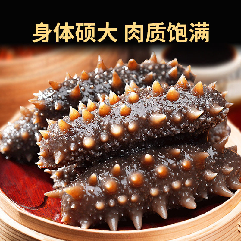 Dalian Wild Fresh Sea Cucumber Ready-To-Eat Sea Cucumber Fresh Liaoning Sea Cucumber Sea Cucumber Single Gift Box Instant Special Price
