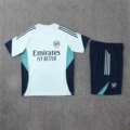 2526 arsenal light gray