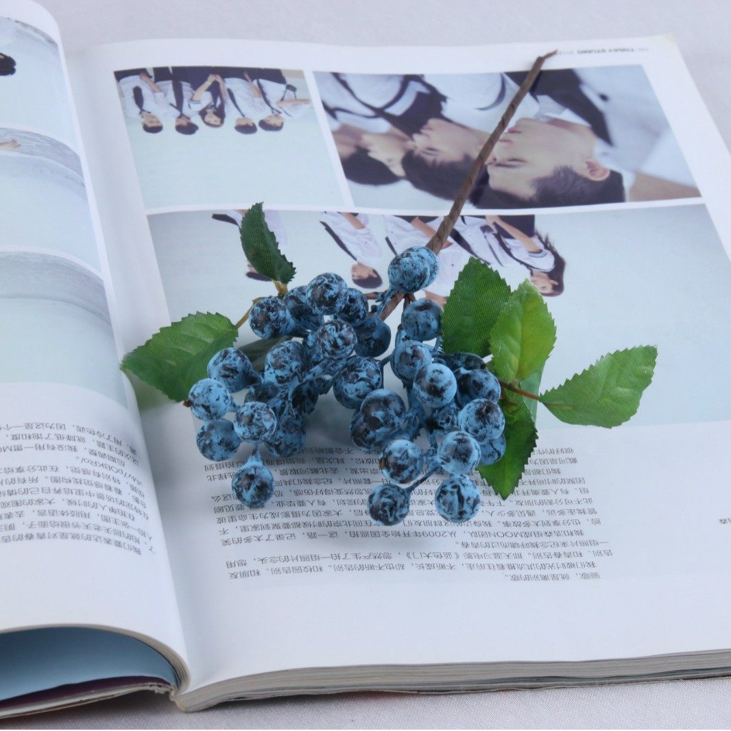 仿真蓝莓果 单支澳洲浆果4色家具装饰果浆 餐桌果盘装饰假花果子