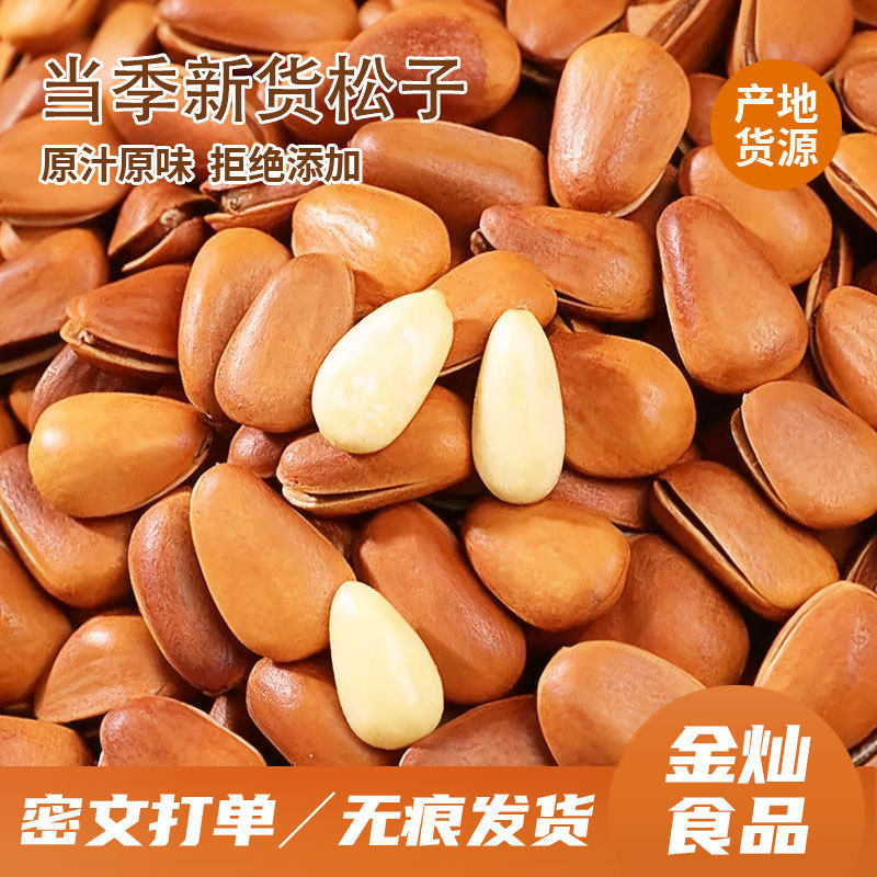 Northeast Pine Nuts 2025 New Arrival 500g Hand-Peeled Pine Nuts Casual Snacks Nuts Extra Large Original Open Pine Nuts