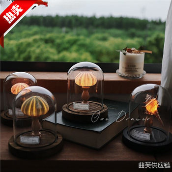 Ocean Island Retro Shell Sea Urchin Conch Lamp Night Light Ornament Handmade Material Pack Mid-Autumn Festival Manufacturer Wholesale