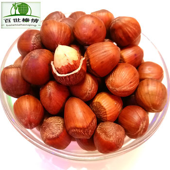 Baishi Zhenqing northeast specialty new products medium-sized original flavor 500g pregnant women nuts wholesale pingou Big Hazelnut