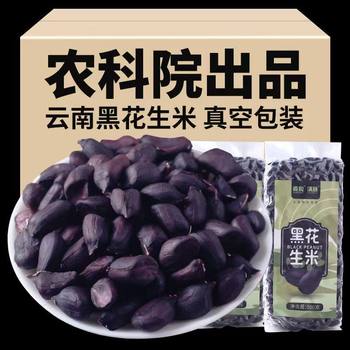 Yunnan Pu'Er Specialty New Black Peanuts Without Shells Black Peanut Kernels Sun-Dried Original Peanuts in Bulk Spot Black Peanuts