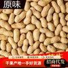Wholesale of New Farm-Grown Roasted Peanuts, Iron Pan Shelled Original Roasted Peanuts, Nut Snacks, and New Year Goods