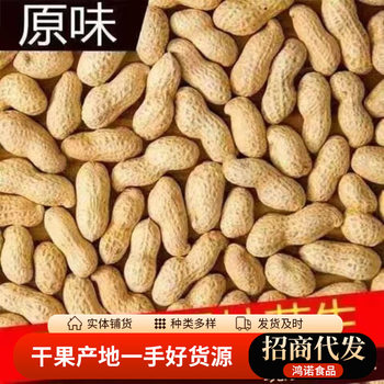 Wholesale of New Farm-Grown Roasted Peanuts, Iron Pan Shelled Original Roasted Peanuts, Nut Snacks, and New Year Goods