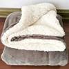 Double-layer blanket padded coral fleece winter lamb fleece blanket 5060 cross-border flannel composite blanket generation