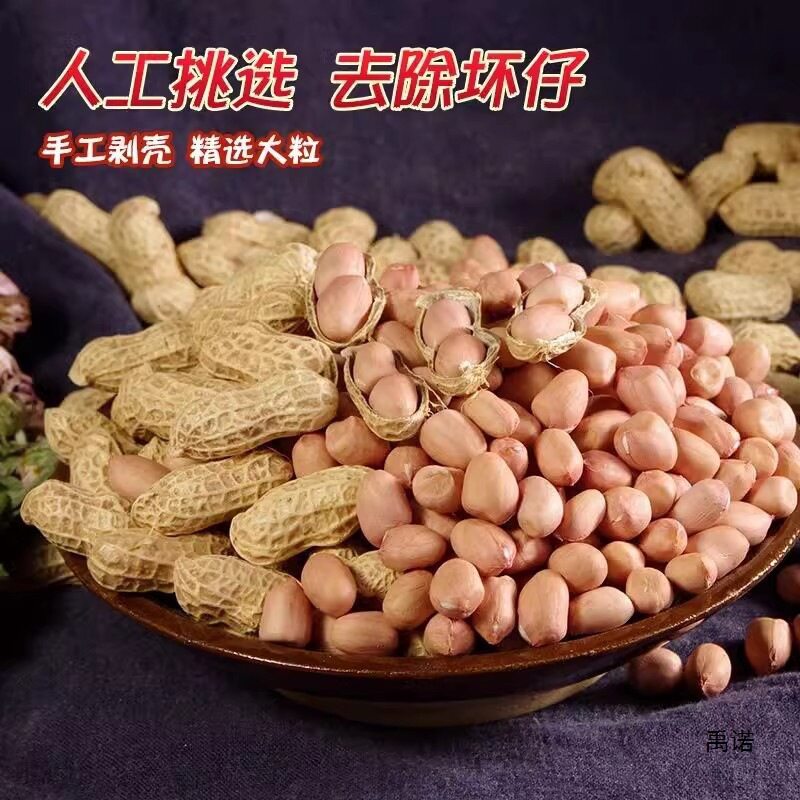 Seasonal Fresh Peanuts on Sale, Freshly Shelled New Peanuts, New Stock with Skin, Fresh Large Kernels, Oil Extraction, White Packaging, Free Shipping