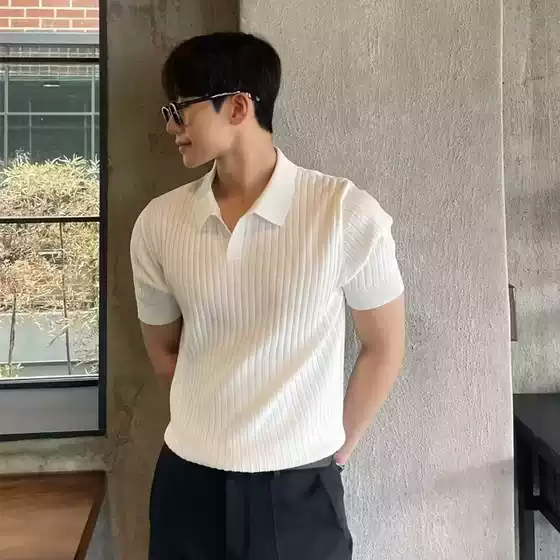 Summer New Style Light Mature Polo Shirt Men's Korean Style Slim Lapel Pure Color Casual Knitted T-Shirt Cross-Border Export Wholesale