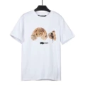 Star decapitated bear White
