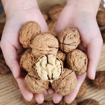 Fresh Thin-Skinned Paper-Skinned Walnuts, Pregnant Women and Children Can Eat Original Walnut Kernels