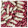 Popular 2023 New Red-Skinned Peanuts, Raw Peanuts, Shelled Sun-Dried Fresh Red-Skinned Roasted Peanuts, New