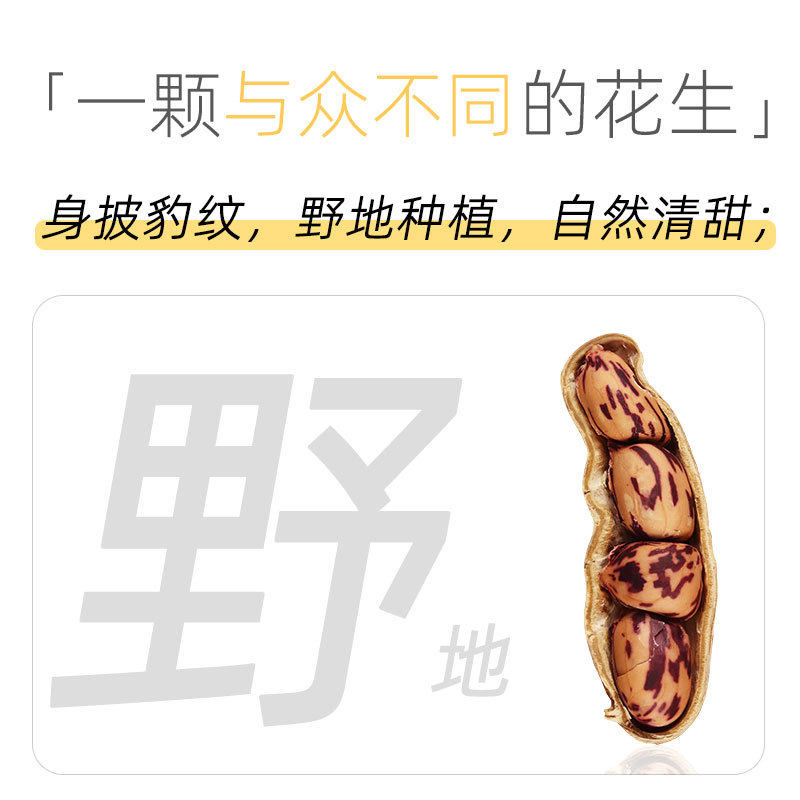 2025 Colorful Wild Peanuts Yunnan Colorful Peanuts Fruit Peanuts Multicolored Peanut Kernels New Stock Wholesale