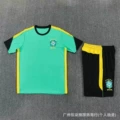 2627 brazilian light green