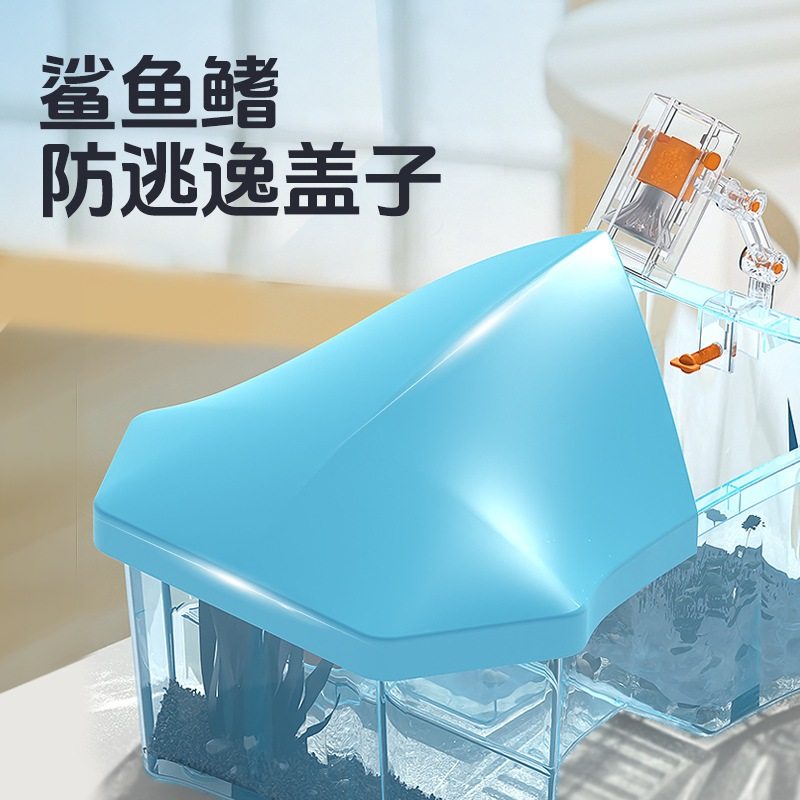 Chongshangtian Turtle Tank Comes with 2 Live Brazilian Turtles with Terrace Turtle Basin Pet Box Kidsren's Gift