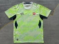 26-27 switzerland away game (standard horse)