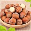 New large hazelnut 2kg bag original opening hazelnut northeast thin skin fried nuts snacks wholesale price 5g factory