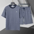 95253 blue