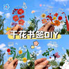 Dried flower bookmark diy material autumn in bottle kindergarten children make leaf specimen paste painting