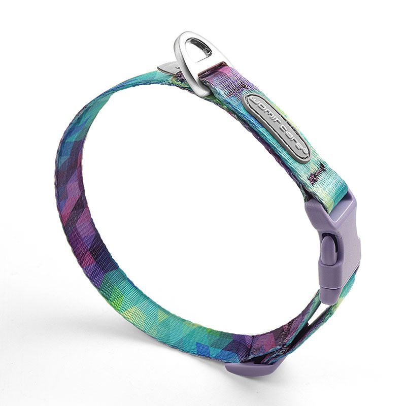 Dog Collar Leash Dog Collar Small Size Dogs Collar Teddy Anti-Strangle Dog Leash Medium and Large Dog Collar Pet Supplies